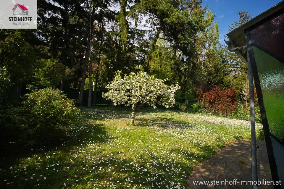 Bungalow in Ruhelage am Rosenhügel